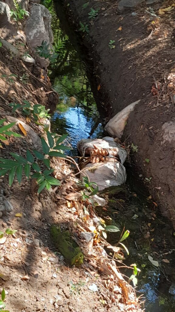 Encuentran el cuerpo de una persona sin vida en Cabañas, Zacapa - Radio ...