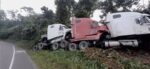 Tráiler que transportaba cabezales sufre accidente en ruta al Pacífico