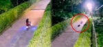 Motorista deja tirada a su acompañante en Retalhuleu (VIDEO)