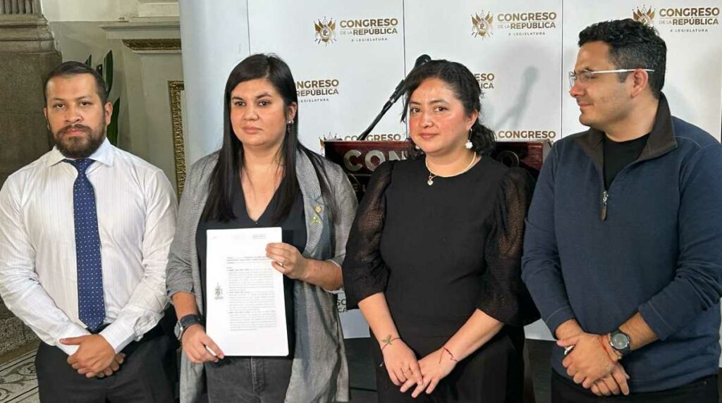 Diputados toman medidas legales contra el STEG por daños al Palacio Nacional