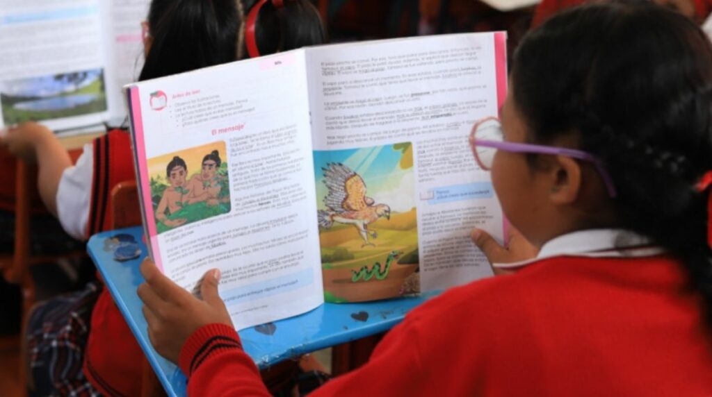 Refuerzo escolar en marcha: así será el nuevo plan del Mineduc tras las suspensiones del STEG