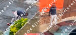 Graban a hombre agrediendo a su esposa en plena vía pública en México (VIDEO)