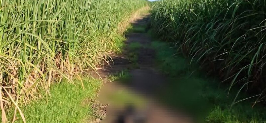 Hallan cadáver calcinado en Santa Lucia Cotzumalguapa