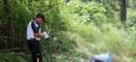 Encuentran cadáver entre matorrales en la ruta al Pacífico