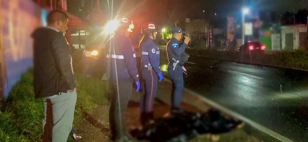 Peatón muere atropellado en la ruta Interamericana