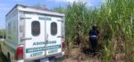 Localizan el cuerpo de un hombre sin vida en Masagua