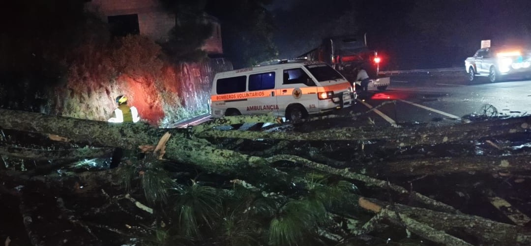 Fuerte accidente: Tráiler choca contra árbol en la ruta Interamericana