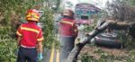 Vehículo resultó afectado por deslizamiento de tierra en ruta a Boca del Monte