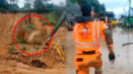 Así fue el derrumbe que puso en riesgo a socorristas y caninos en Carretera a El Salvador (VIDEO)