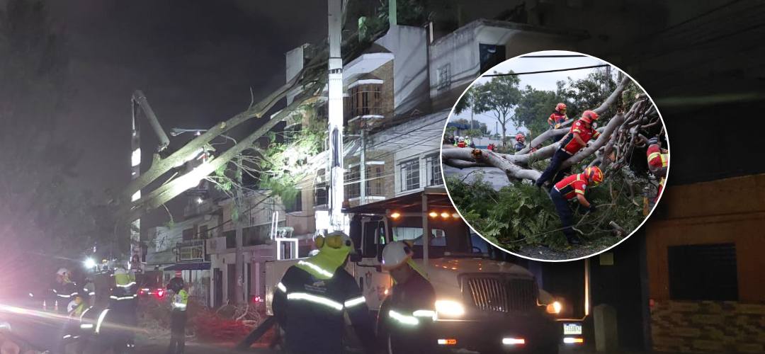 Fuertes lluvias y vientos derriban árboles en zona 11: viviendas y energía eléctrica afectadas