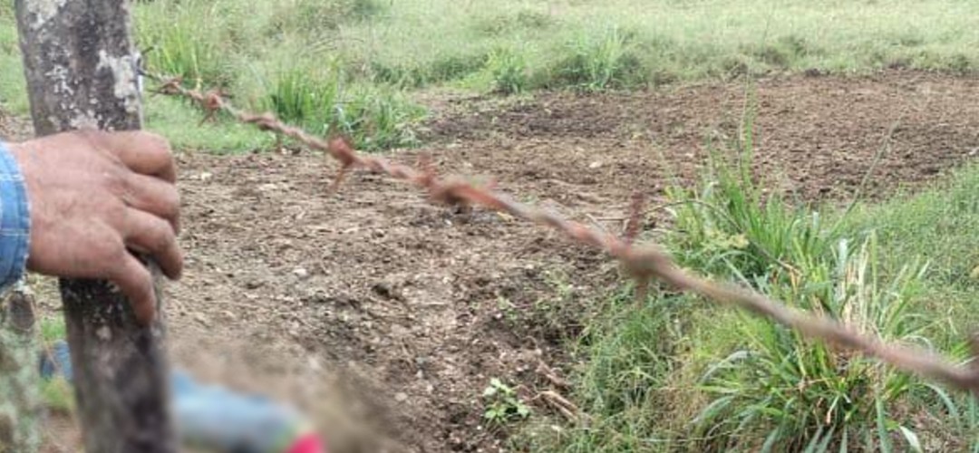 Hombre muere tras ataque con arma blanca en Izabal