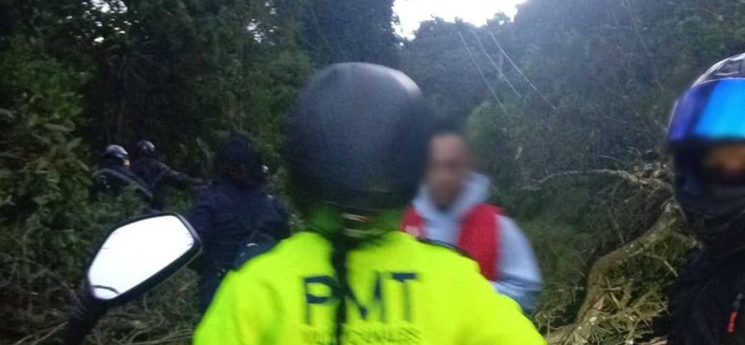 Precaución: Árbol cae en la ruta a Santa Elena Barillas