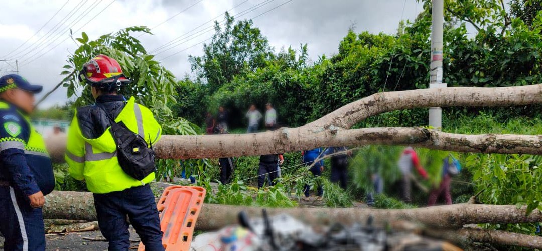 Árbol cae sobre motorista en la ruta Nacional 14