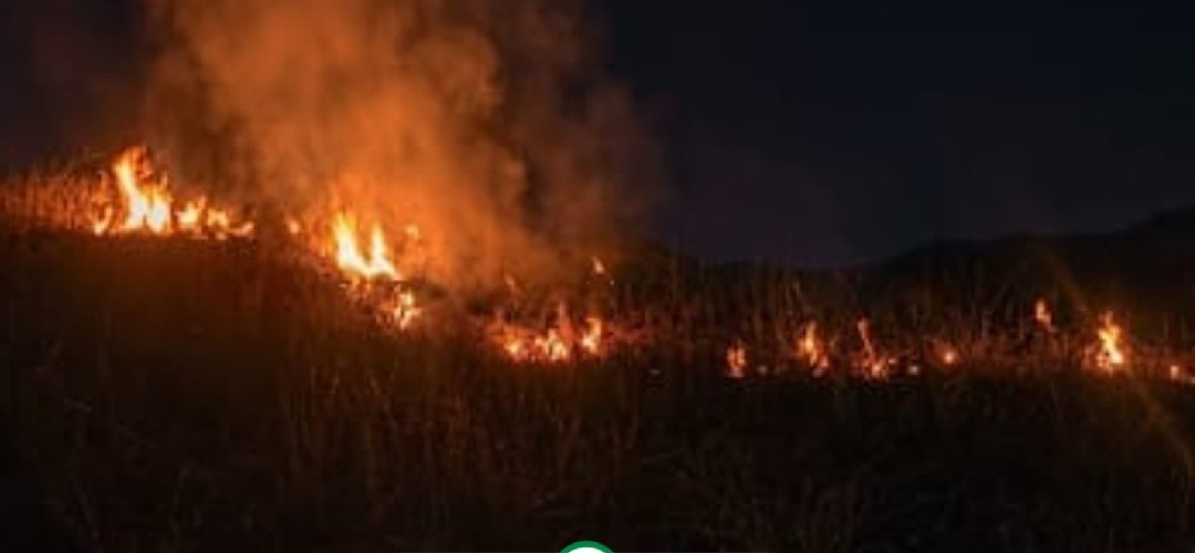 Incendio forestal se registró en La Blanca, San Marcos