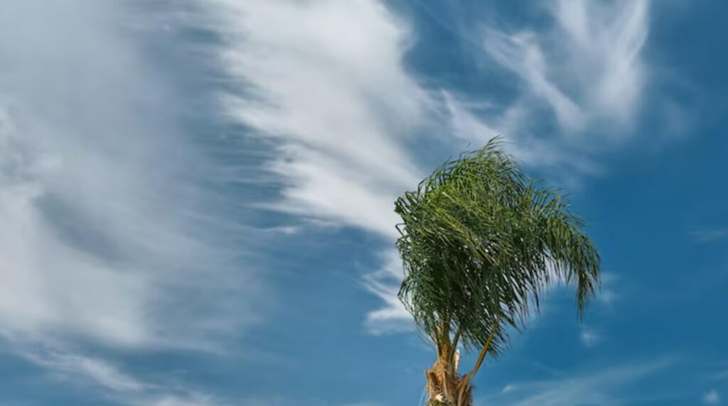 Clima en Guatemala: así estará el tiempo el 21 y 22 de marzo de 2026, según Insivumeh