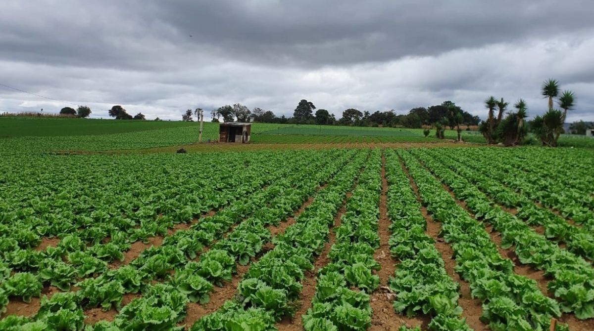 El Seguro Agropecuario a miles de productores que resultaron afectados por los eventos climáticos